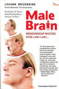 Image of Male Brain